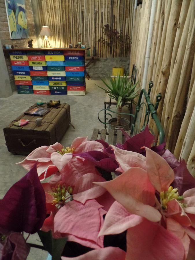 The Upcycled Hostel Huacachina Ica Zewnętrze zdjęcie